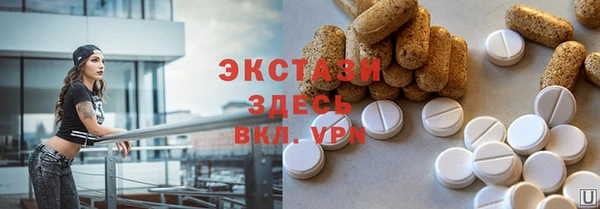 мдпв Богородск