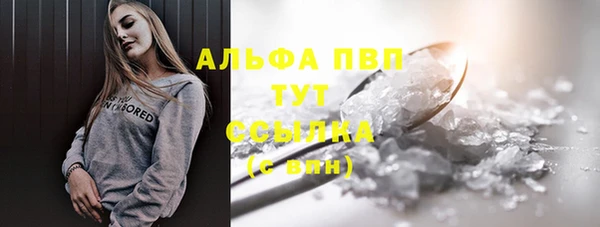 спайс Богданович