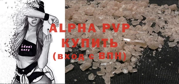 спайс Богданович