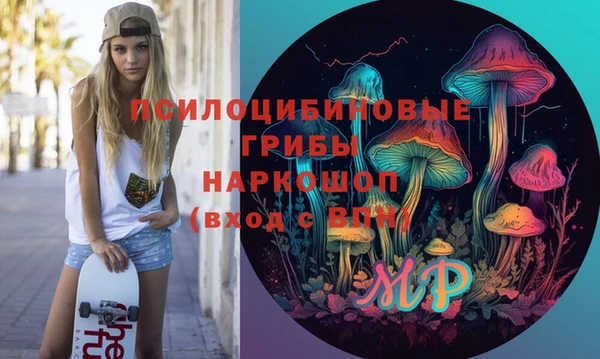 хмурый Богородицк