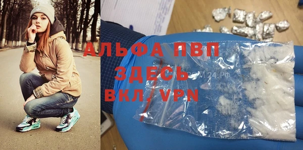 спайс Богданович