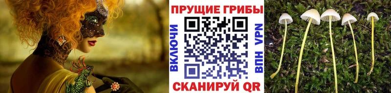 Псилоцибиновые грибы Magic Shrooms Купино